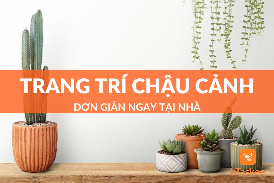 Top 10+ Cách Trang Trí Chậu Cảnh Đơn Giản Ngay Tại Nhà