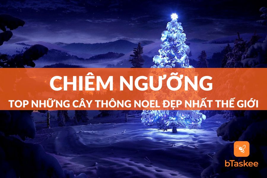 Cùng Chiêm Ngưỡng Top Những Cây Thông Noel Đẹp Nhất Thế Giới