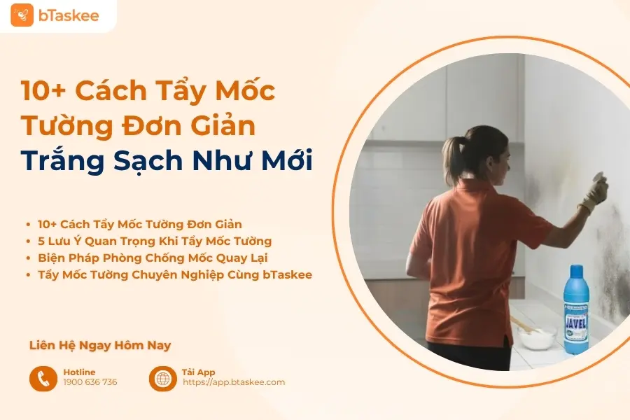 10+ Cách Tẩy Mốc Tường Đơn Giản Trắng Sạch Như Mới