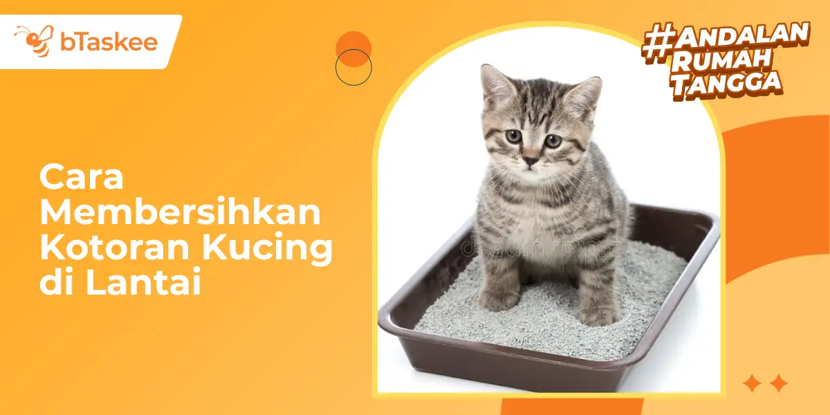 Cara Membersihkan Kotoran Kucing di Lantai: Cepat & Anti Bau