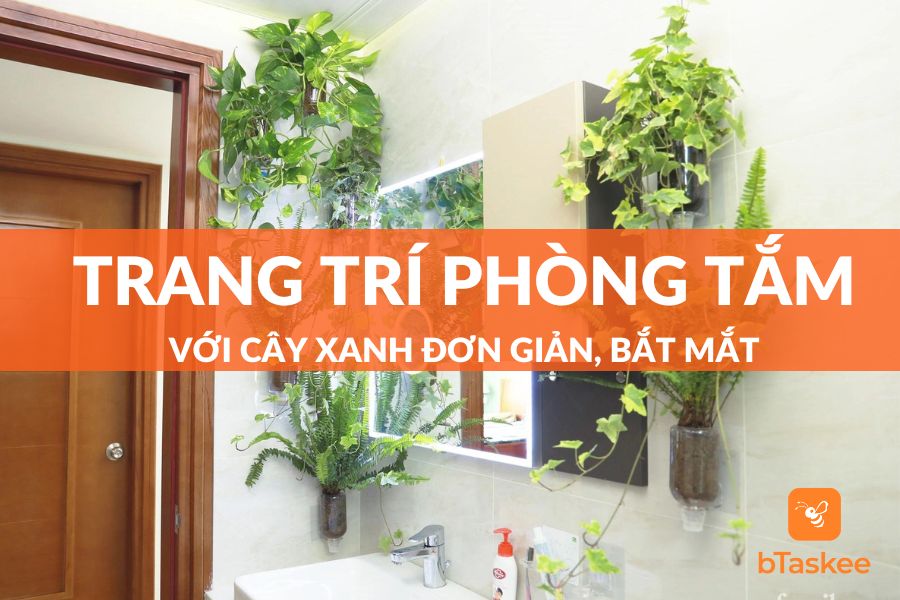 Trang Trí Phòng Tắm Với Cây Xanh Đơn Giản, Khử Mùi Hiệu Quả
