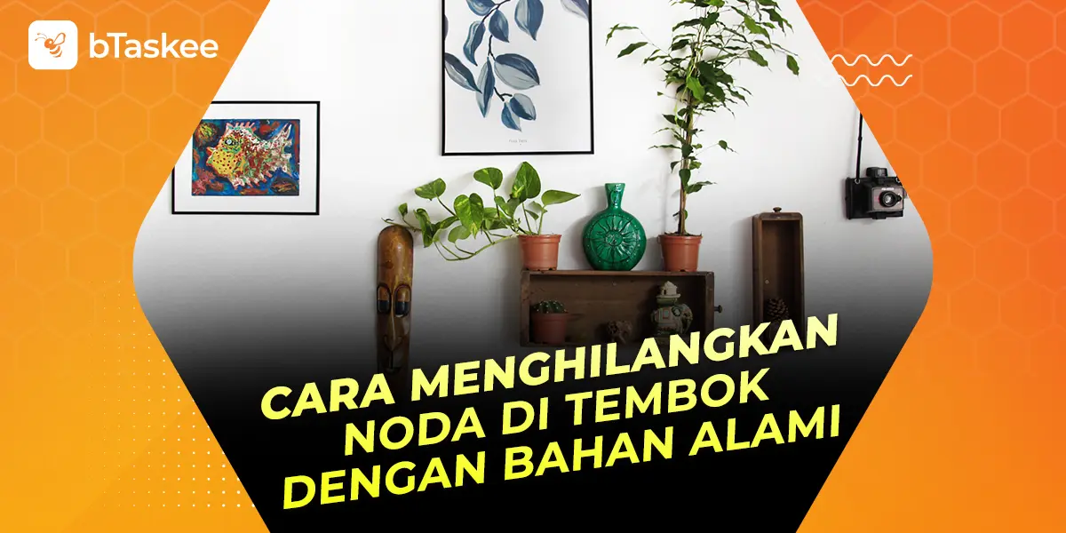 Cara Menghilangkan Noda di Tembok dengan Bahan Alami