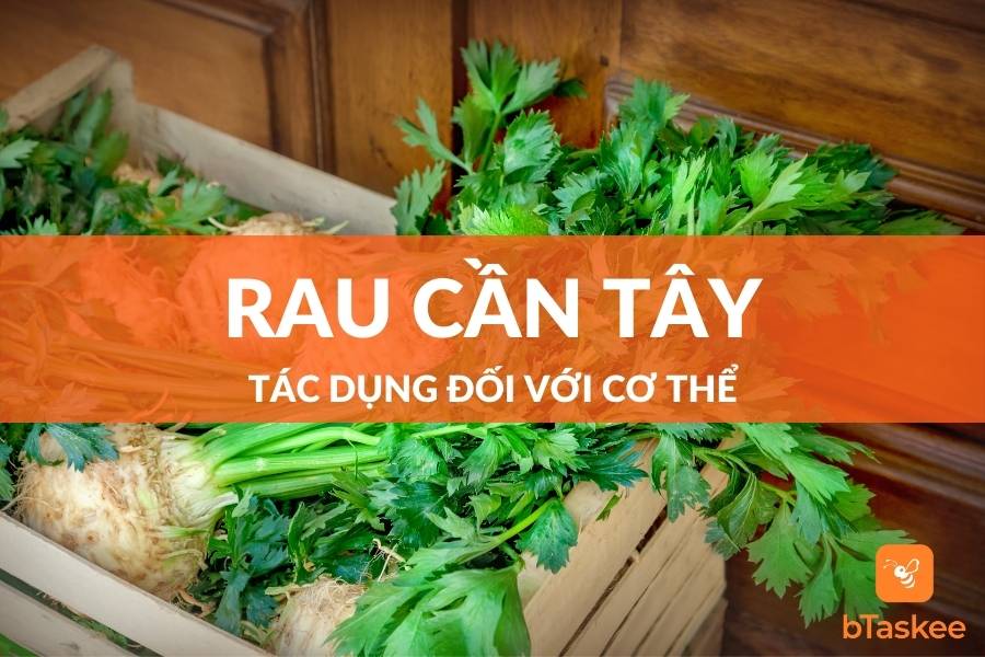 Rau Cần Tây Có Tác Dụng Gì Đối Với Cơ Thể?