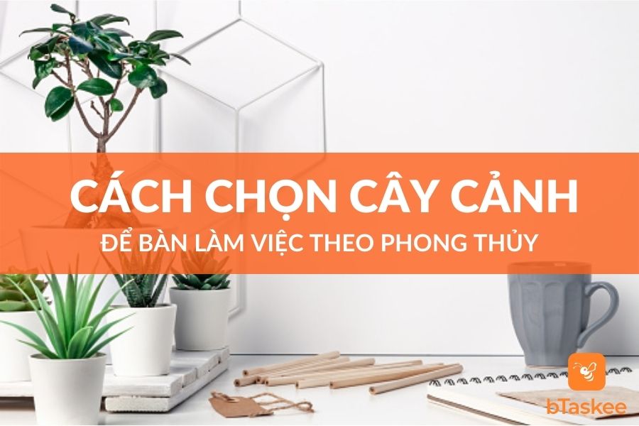 Cách Chọn Cây Cảnh Để Bàn Làm Việc Theo Phong Thủy