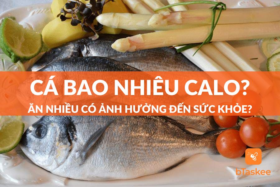Cá Bao Nhiêu Calo? Ăn Nhiều Cá Có Mập (Béo) Không?