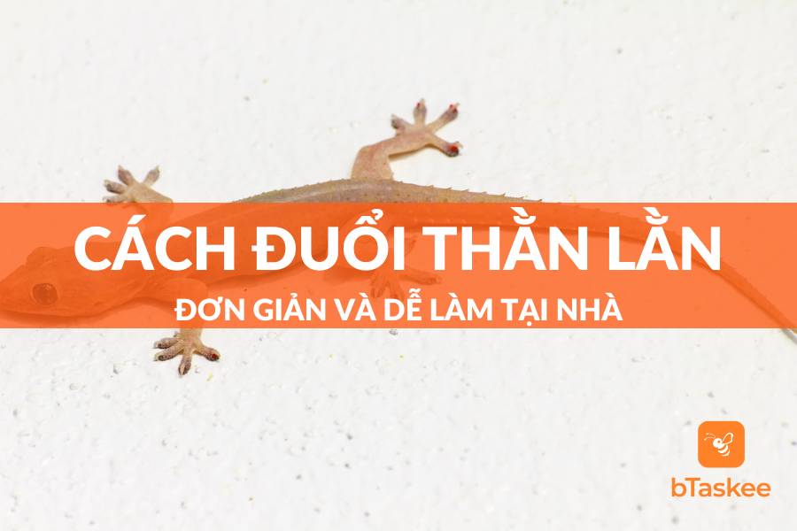 Cách Đuổi Thằn Lằn Khỏi Nhà Đơn Giản Mà Hiệu Quả