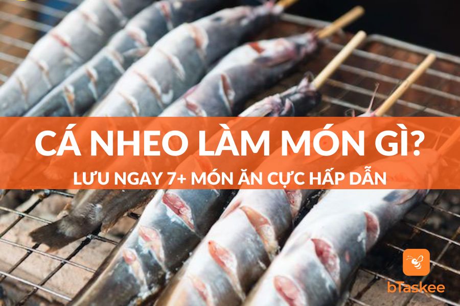 Cá Nheo Làm Món Gì Ngon? Lưu Ngay 7+ Món Ăn Cực Hấp Dẫn