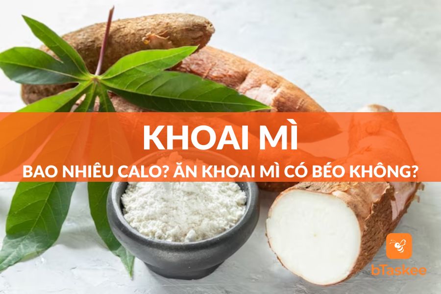 Khoai Mì Bao Nhiêu Calo? Ăn Nhiều Khoai Mì Có Bị Béo Không?