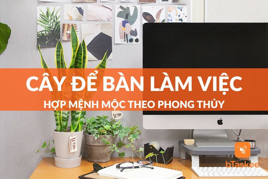 Gợi Ý Top 10 Loại Cây Để Bàn Làm Việc Hợp Mệnh Mộc Nhất
