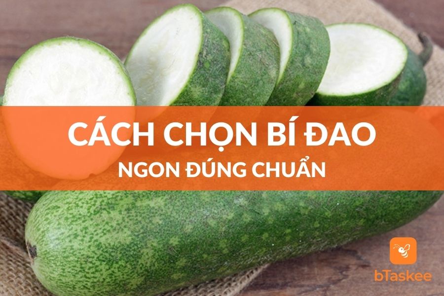 Cách Chọn Bí Đao Ngon Và An Toàn Cho Cả Nhà